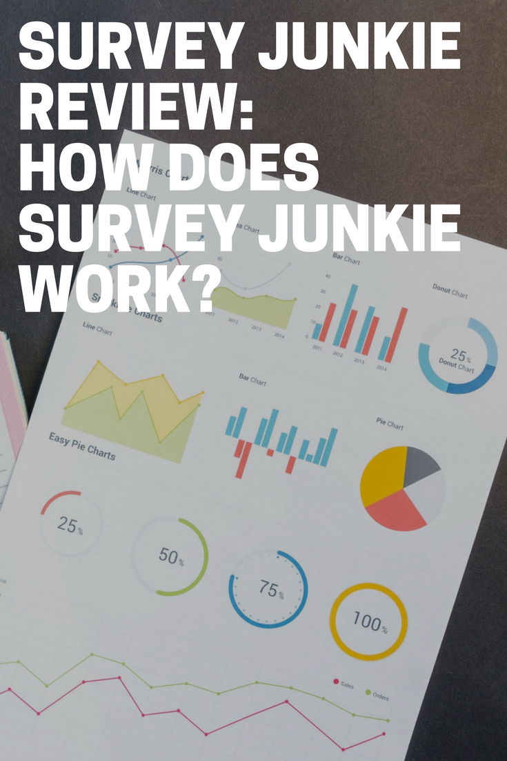 Survey Junkie Review How Does Survey Junkie Work The Budget Diet 7291