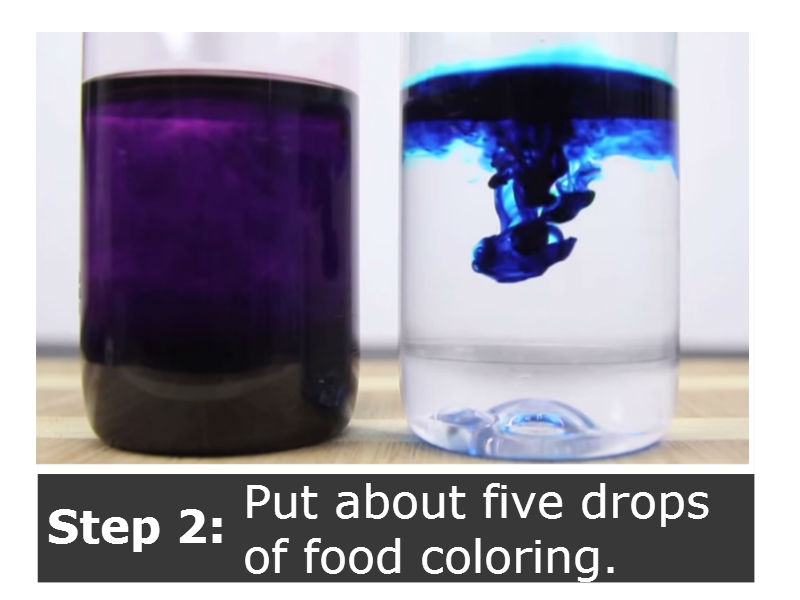 DIY Lava Lamp Project For Your Kids - The Budget Diet