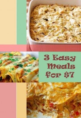 $7 Bag of Frozen Chicken Breasts = 3 Easy Meals: King Ranch Chicken ...