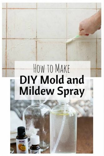 How To Make DIY Mold And Mildew Spray - The Budget Diet