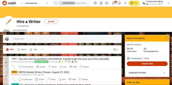 Hire-A-Writer-Reddit